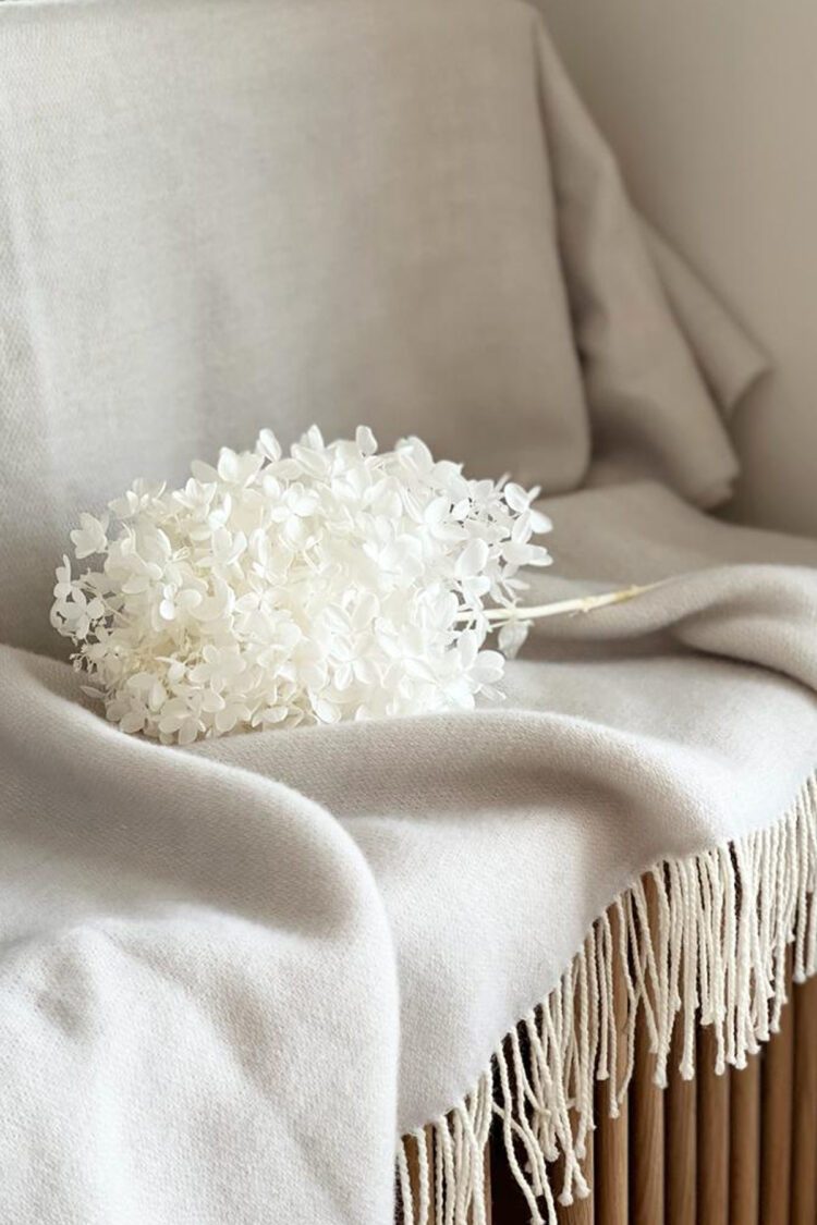 Hortensie White, Bleach