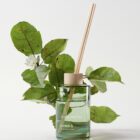 Scent Diffuser Fjord, 200ml