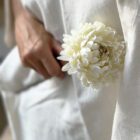 Aster, Vanille