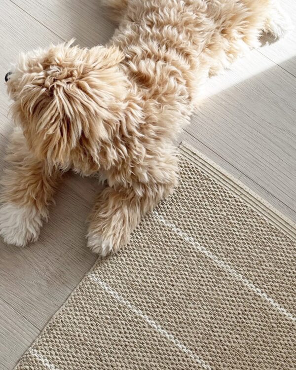 Carl Teppich Linen, L180