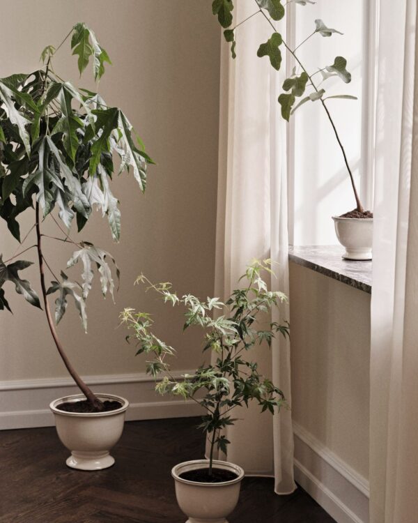 Annabella Blumentopf, medium