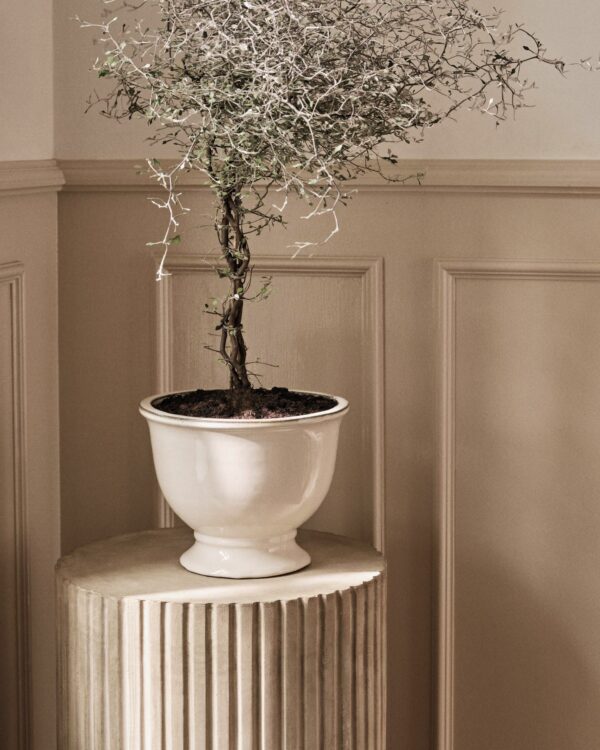 Annabella Blumentopf, large