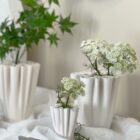 Ammi Majus weiss