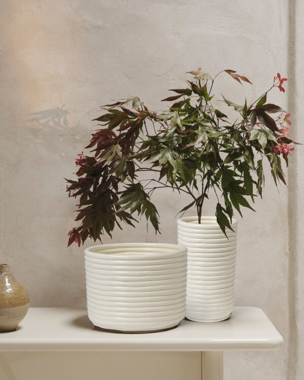 Corduroy Topf, Offwhite