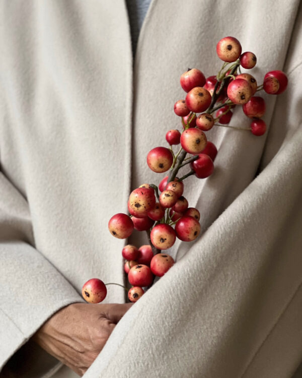 Zierapfel Zweig, l70