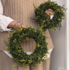 Evergreen Buchskranz, 20cm Evergreen Buchskranz, 20cm