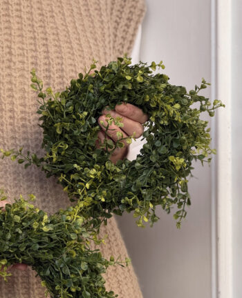 Evergreen Buchskranz, 20cm