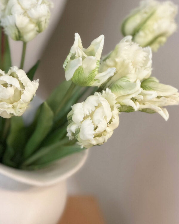 Papageien Tulpen Bund, weiss