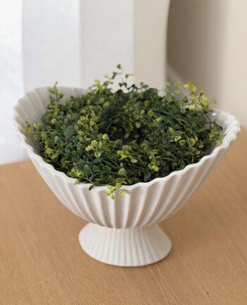 Evergreen Buchskranz, 25cm