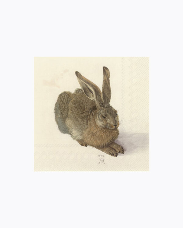 Dürer Hase Servietten, Lunch