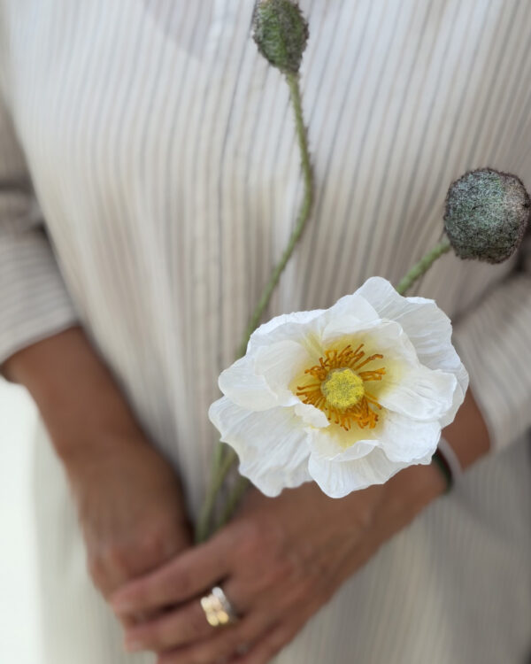 Poppy Buttermilk