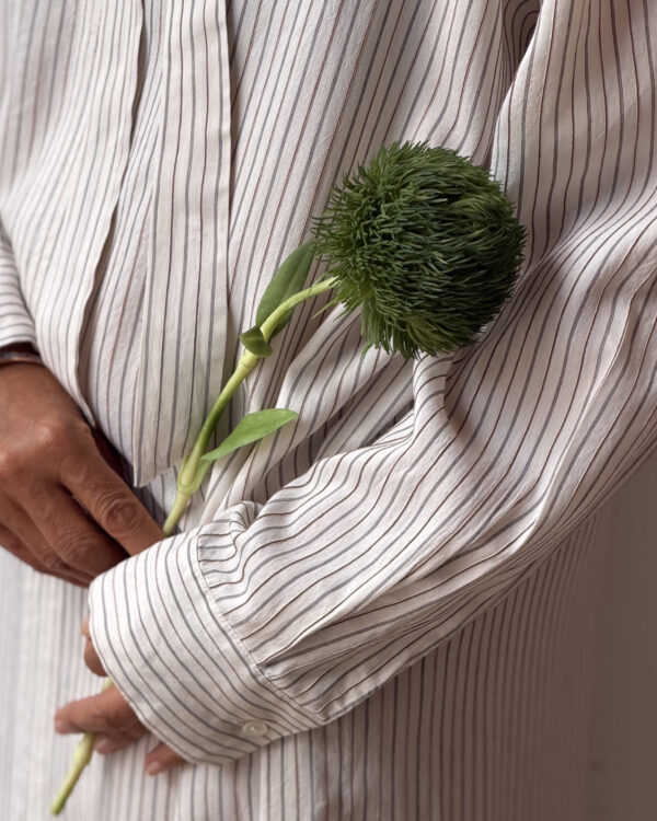 Nordic Green Carnation