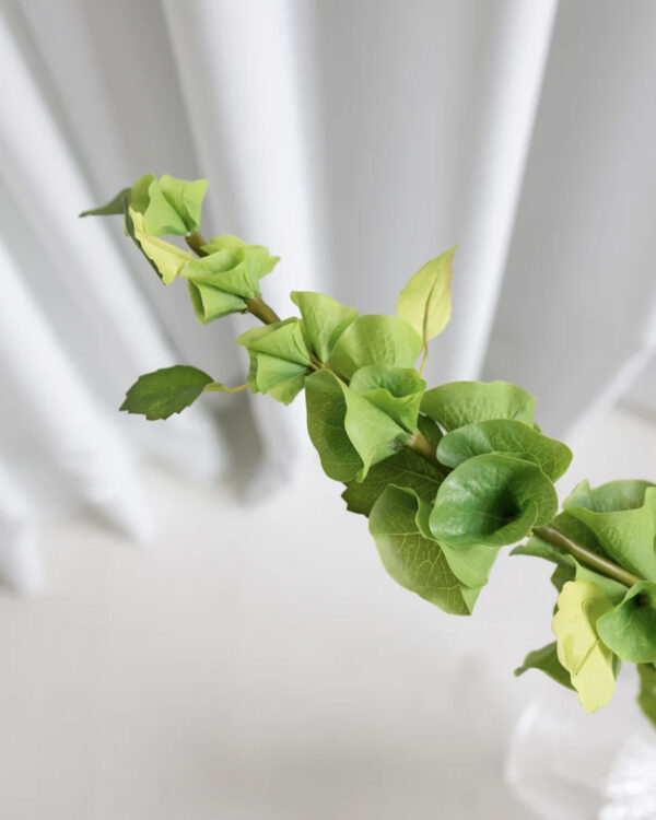 Bell Flower, green