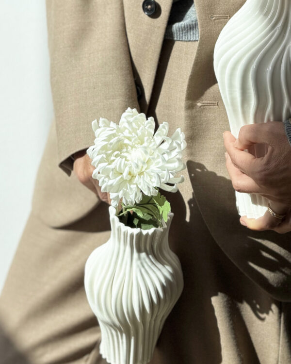 Cactus Dahlia, White